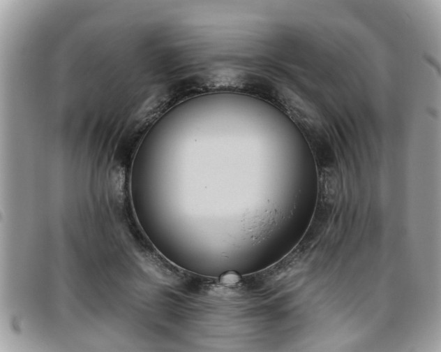 X0000095910550200801181358