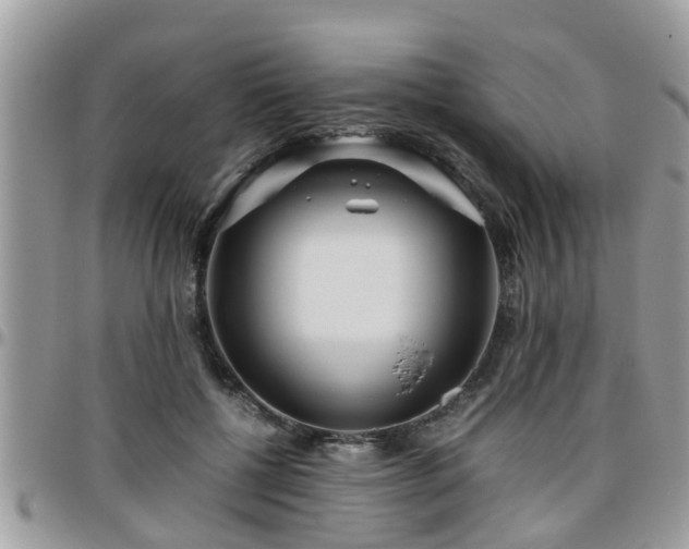 X0000095910552200801181358