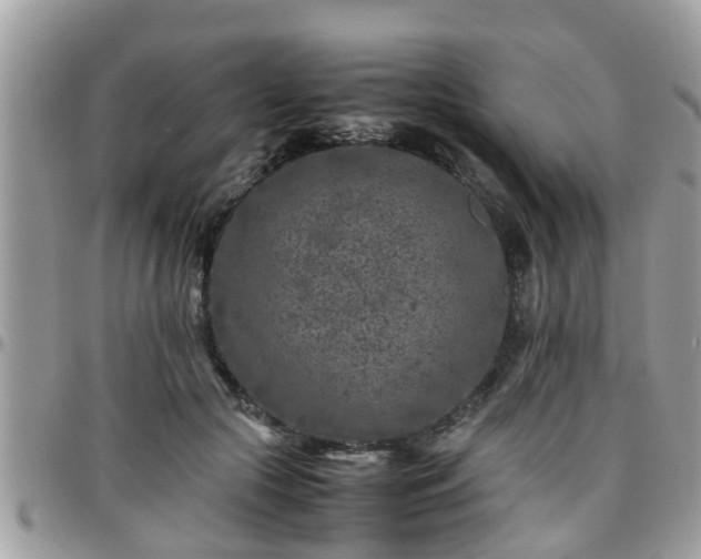 X0000095910553200801181358