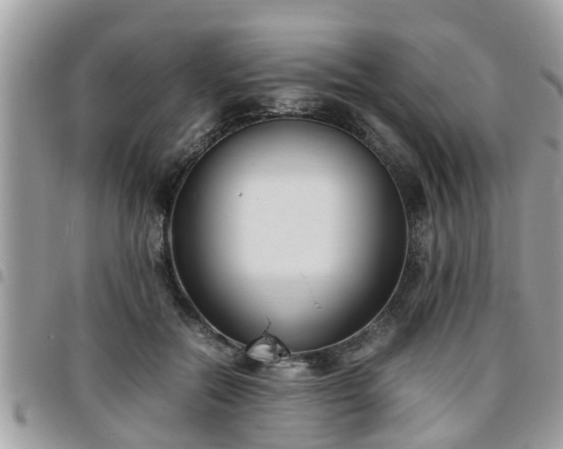 X0000095910554200801181358