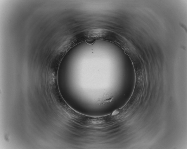 X0000095910555200801181358