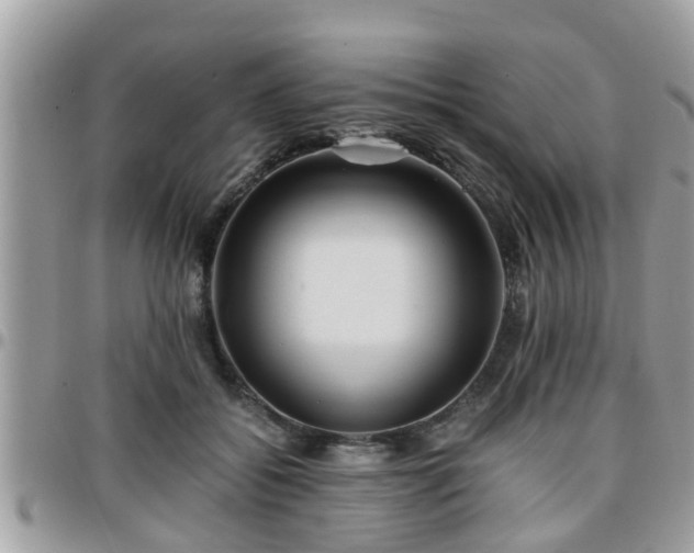 X0000095910556200801181358