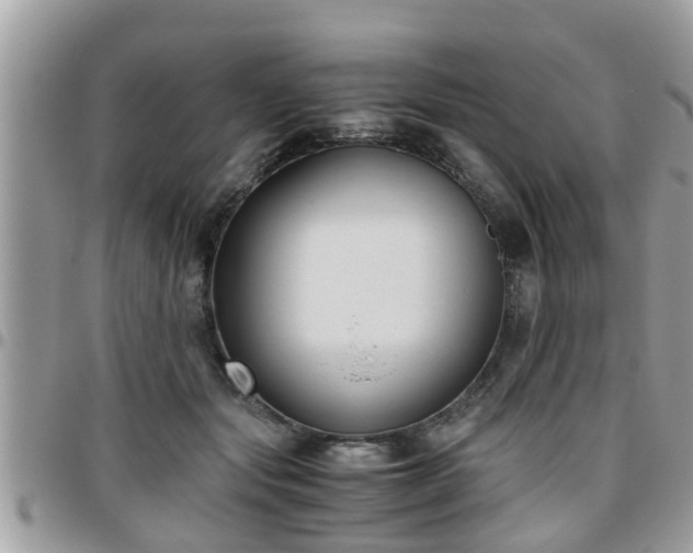 X0000095910557200801181358