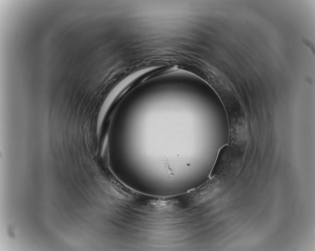 X0000095910558200801181358