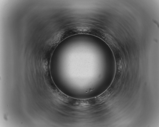 X0000095910559200801181358