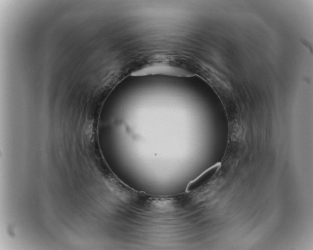 X0000095910560200801181358