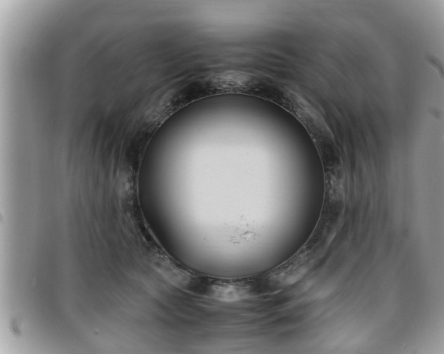 X0000095910561200801181358