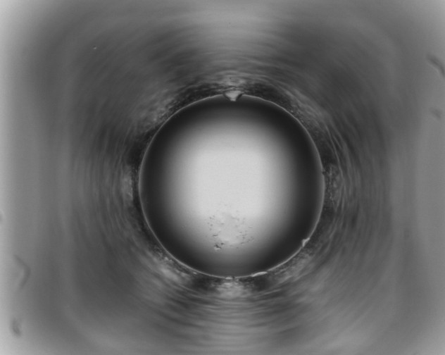 X0000095910562200801181358