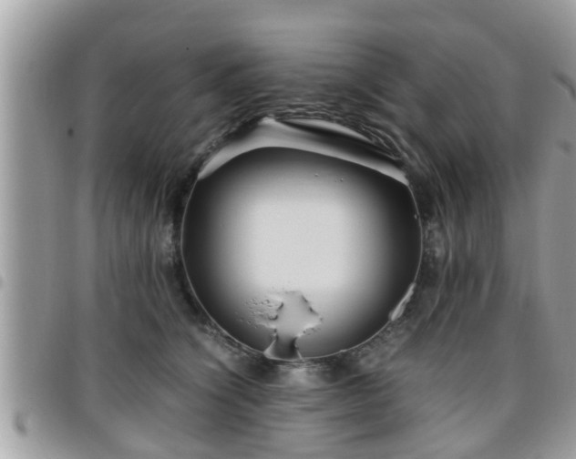 X0000095910564200801181358