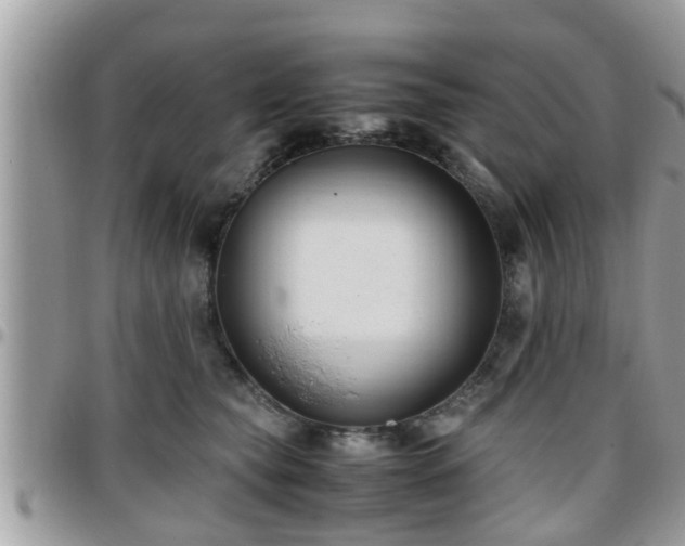 X0000095910565200801181358