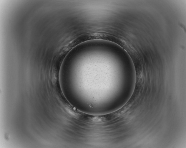 X0000095910566200801181358