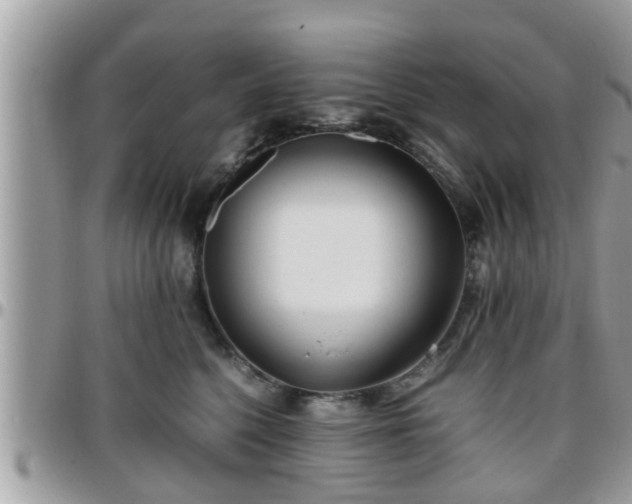 X0000095910568200801181358