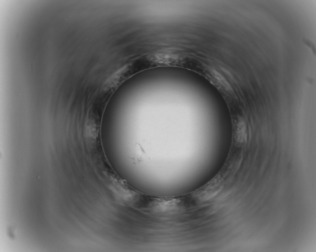 X0000095910569200801181358