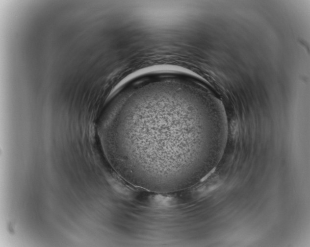 X0000095910570200801181358