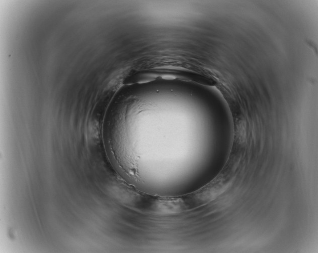 X0000095910571200801181358