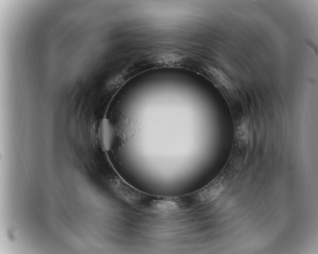 X0000095910572200801181358