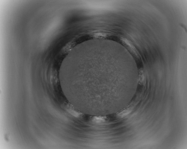 X0000095910573200801181358