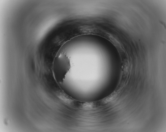 X0000095910574200801181358