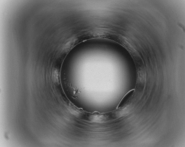 X0000095910575200801181358