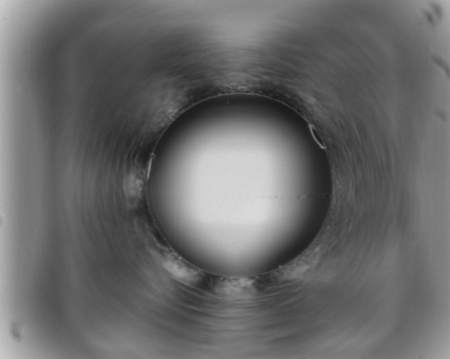 X0000095910576200801181358