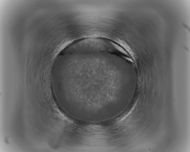 X0000095910577200801181358