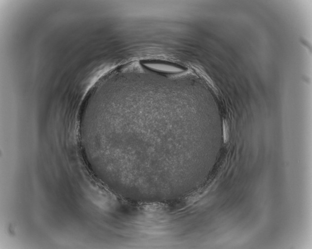 X0000095910579200801181357