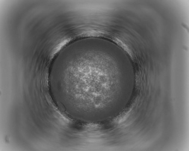 X0000095910581200801181357