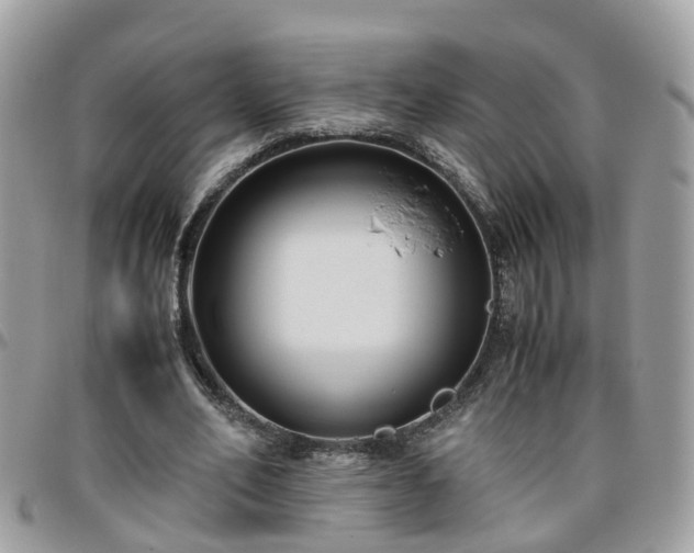 X0000095910582200801181357