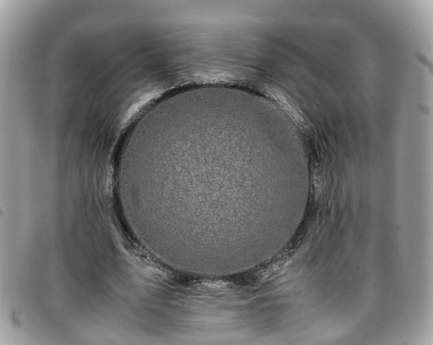 X0000095910583200801181357