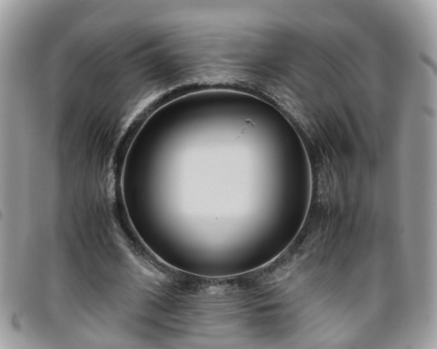 X0000095910584200801181357