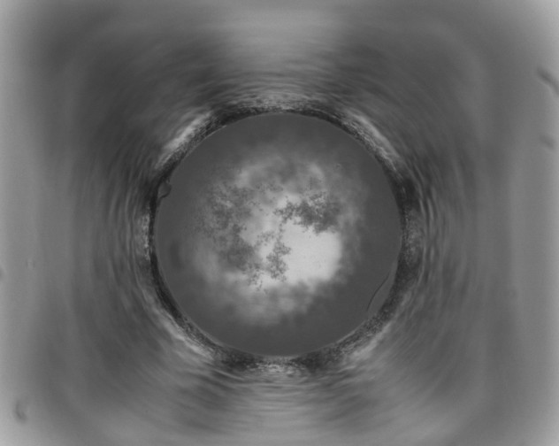 X0000095910585200801181357