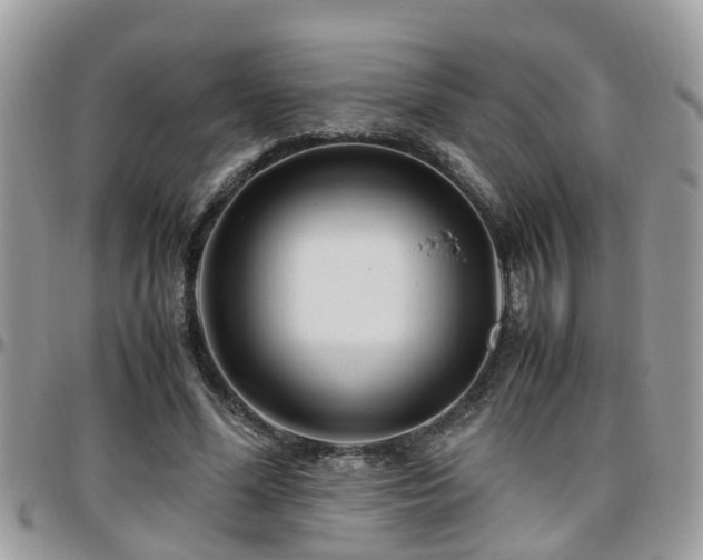 X0000095910588200801181357