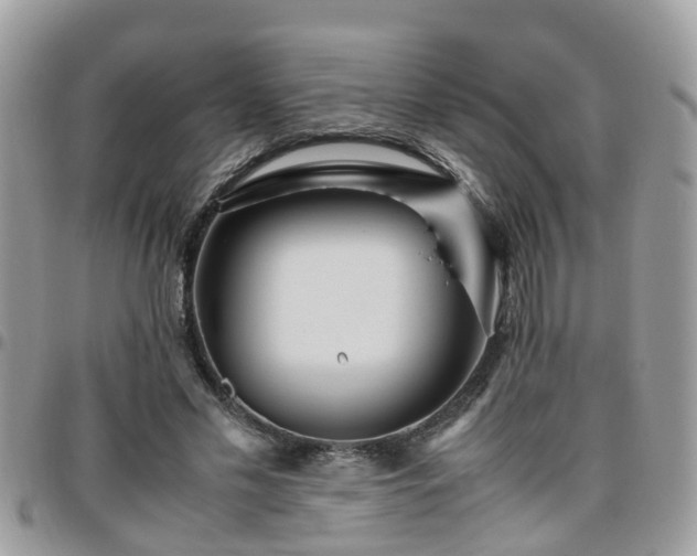 X0000095910589200801181357