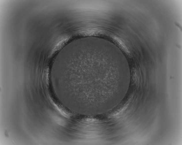 X0000095910590200801181357