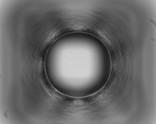 X0000095910591200801181357