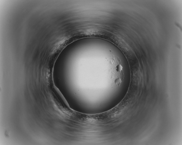 X0000095910592200801181357