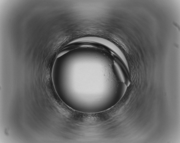 X0000095910593200801181357