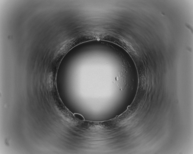 X0000095910594200801181357