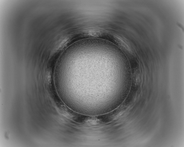 X0000095910595200801181357