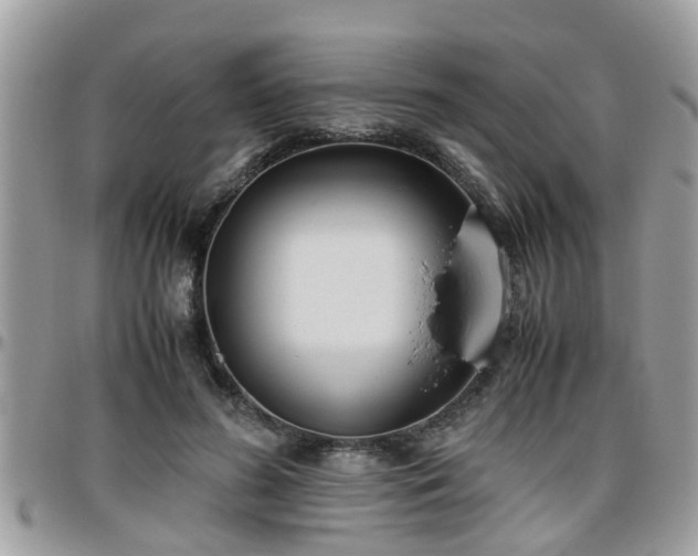 X0000095910596200801181357