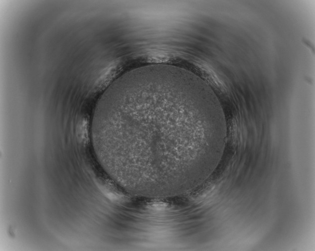 X0000095910598200801181357