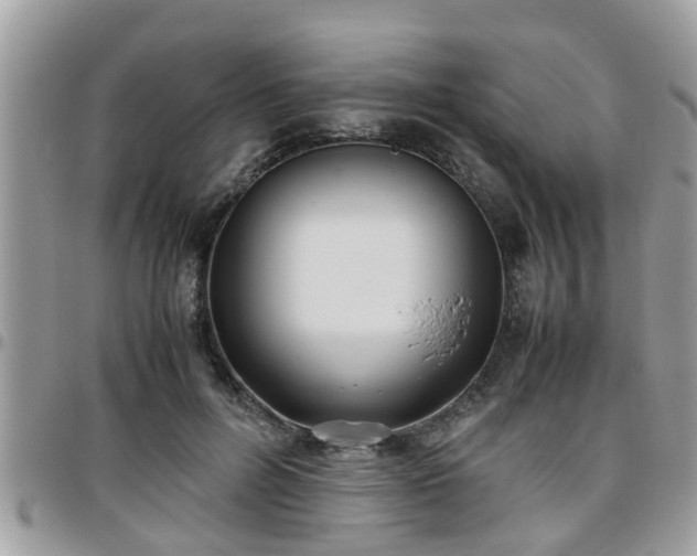 X0000095910600200801181357