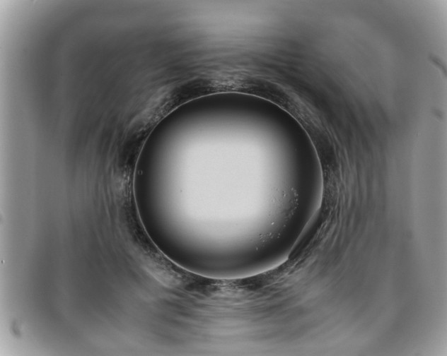 X0000095910601200801181357