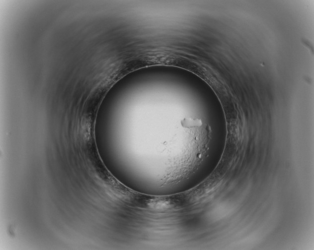 X0000095910602200801181357