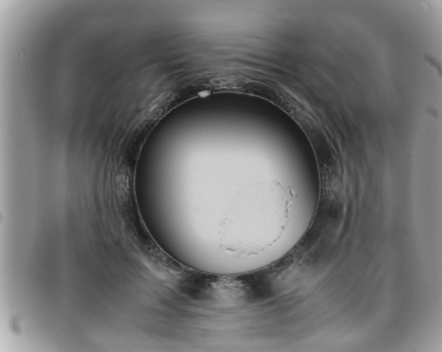 X0000095910603200801181357