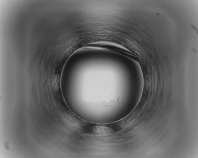 X0000095910605200801181357