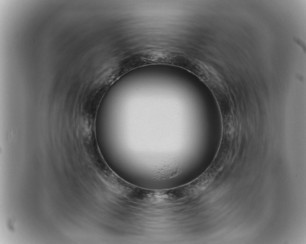 X0000095910607200801181357