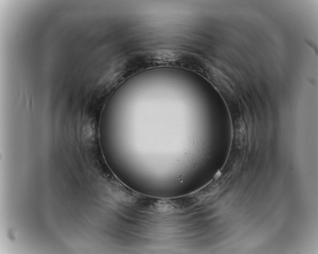 X0000095910608200801181357