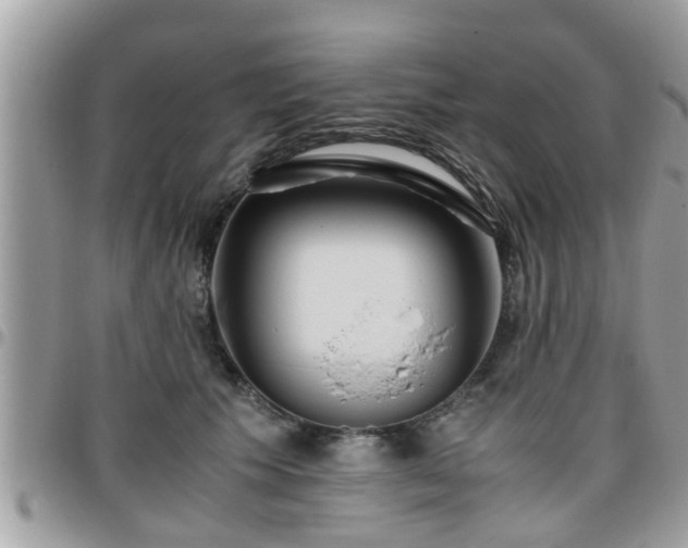 X0000095910609200801181357