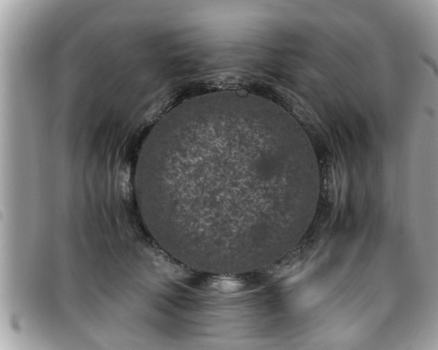 X0000095910610200801181357